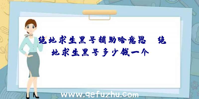 「绝地求生黑号辅助啥意思」|绝地求生黑号多少钱一个